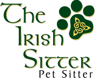 The Irish Sitter